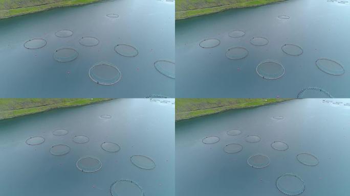 空中: 装满鱼的圆形笼子漂浮在法罗群岛附近的蓝色大海周围。