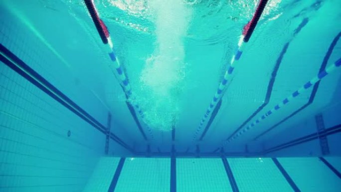 水中运动员水中运动员游泳比赛自由