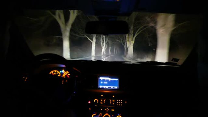 晚上开车穿过森林