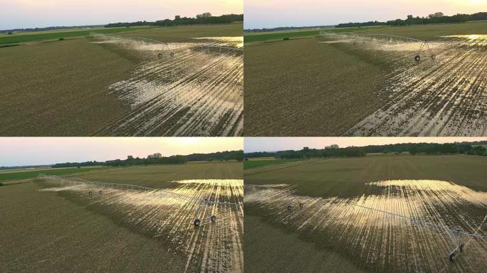 空中农业洒水灌溉玉米田