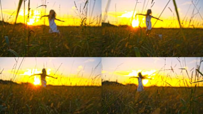 SLO MO女孩在草地上的日出