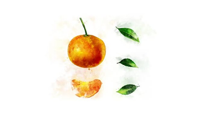 普通话绘画动画彩色水墨彩绘手绘橙子