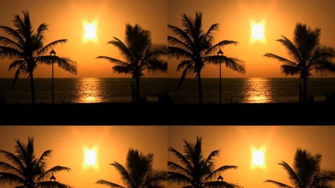 NTSC：日落时分的棕榈树