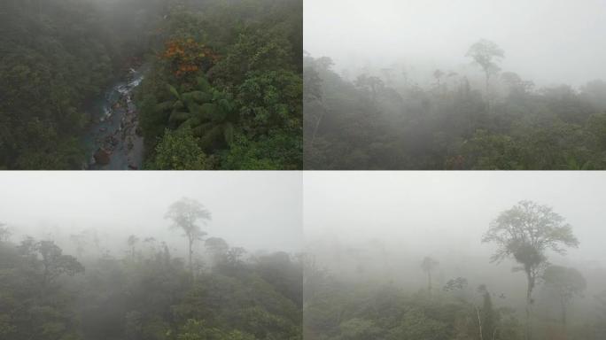 空中里奥·塞莱斯特 (Rio Celeste) 流经多雾的雨林