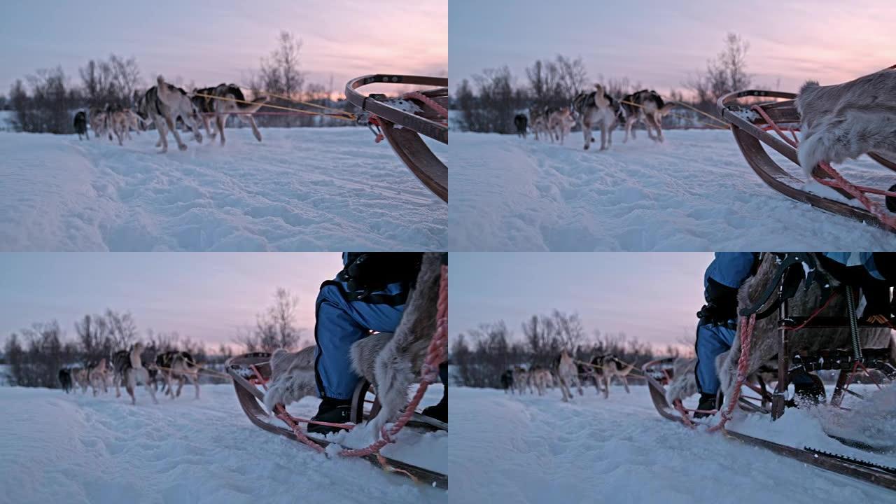 SLO MO雪橇犬在黎明时在雪地上赛跑