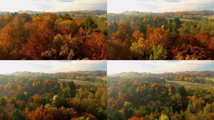 秋天晴天的空中华丽森林
