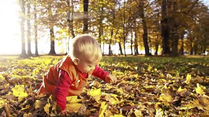 在公园里爬过秋叶的女婴