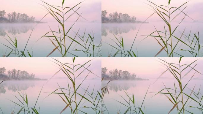 雾中湖泊的镜头