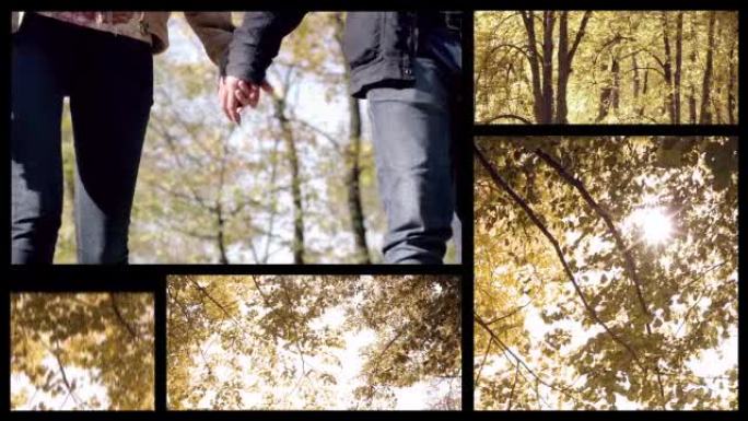 年轻情侣手牵着手走进公园。Spleet屏幕