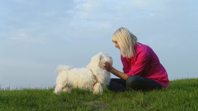 HD DOLLY:女人在草地上拍她的狗