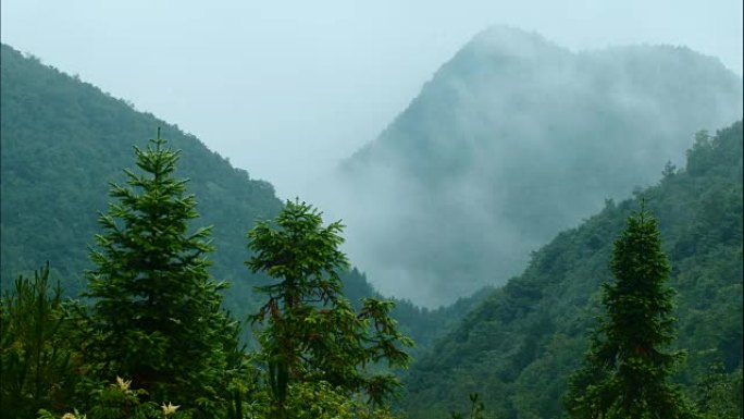 有雾的山地景观高山云雾云雾缭绕云雾延时