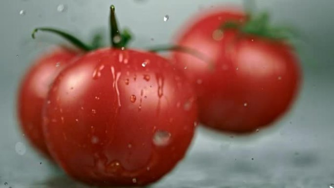 SLO MO湿西红柿落在桌子上