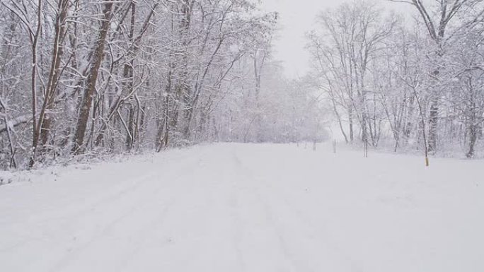 SLO MO森林中的雪地路