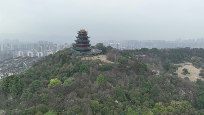 航拍春天梅花盛开的鸿恩寺公园