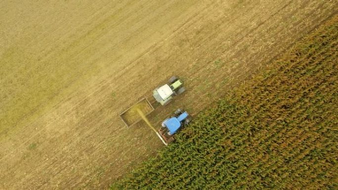 收割玉米的农民成熟秋收玉米田现代机械化