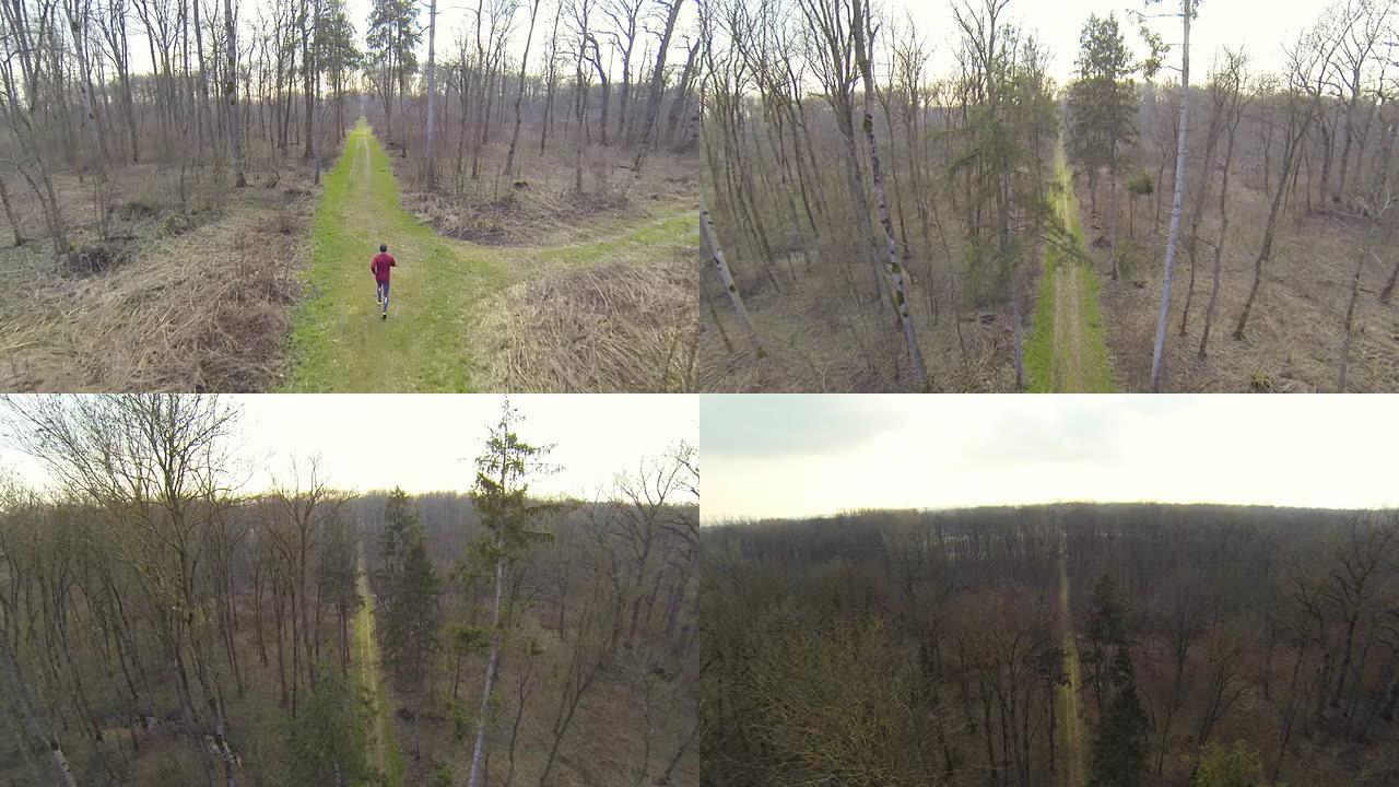 HD HELI: 森林中的越野跑者