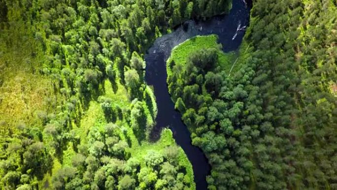 蜿蜒曲折的瑞典北方森林的航拍