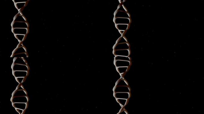 现实的DNA。旋转DNA。基因工程科学概念。飞行粒子。在黑色背景上。