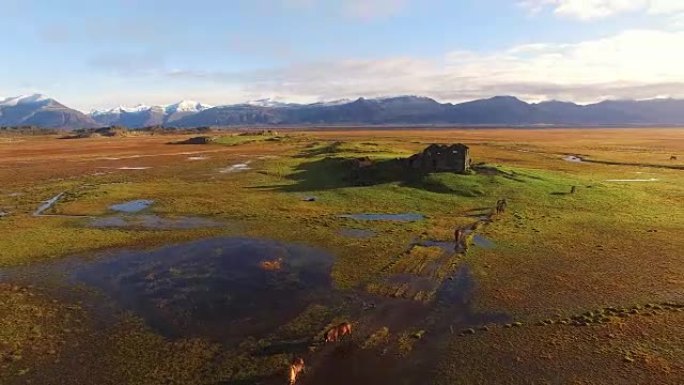 空中冰岛马林业绿化树林生态枝繁叶茂