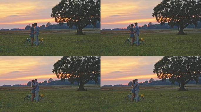 DS年轻夫妇在日落时在草地上接吻