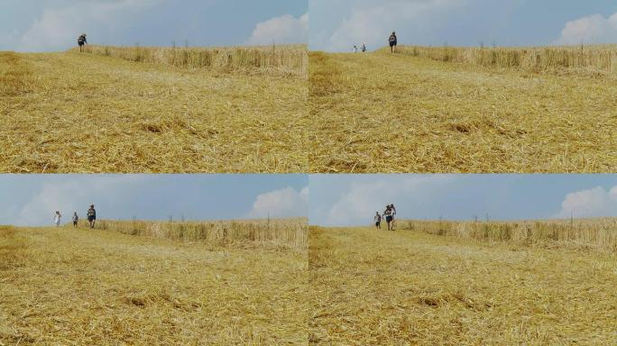 HD DOLLY：农夫和他的孩子在田野里