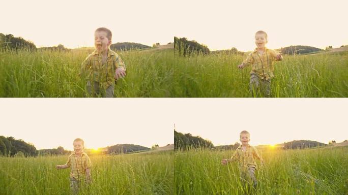 SLO MO小男孩在高草丛中奔跑