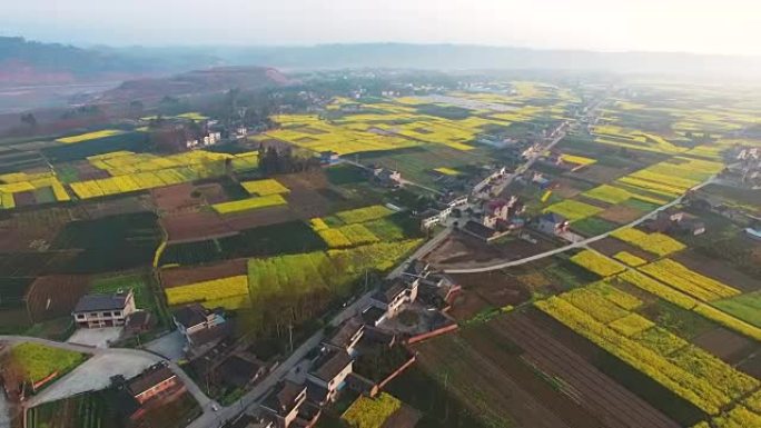 四川中国农村景观鸟瞰图，油菜种田和村屋，4k