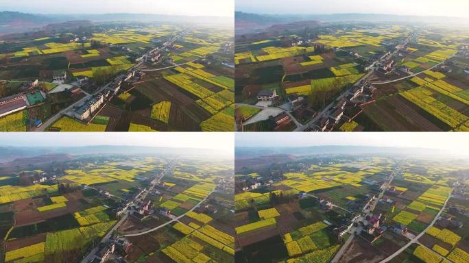 四川中国农村景观鸟瞰图，油菜种田和村屋，4k