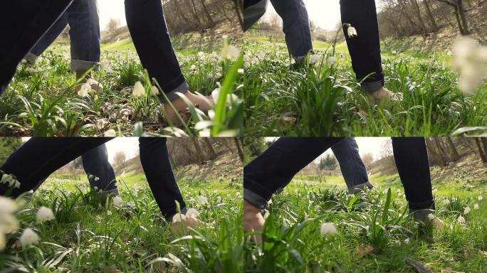 高清超慢动作: 赤脚走过草地
