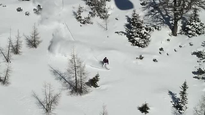 新鲜雪上的滑雪板滑雪滑冰雪运动冬天体育