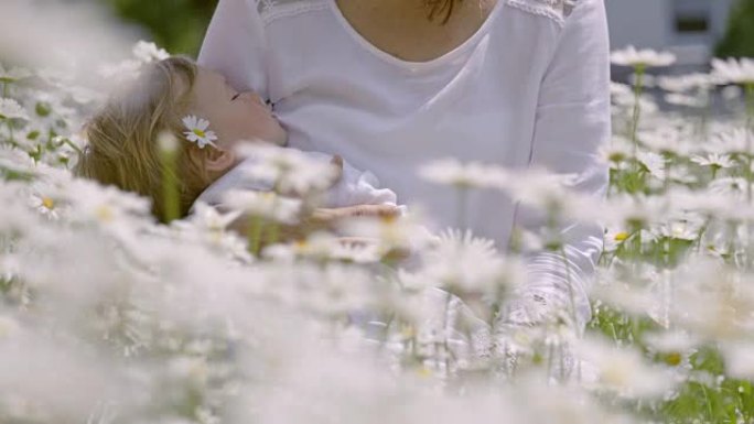 SLO MO DS可爱的小女孩在雏菊中睡在母亲的腿上