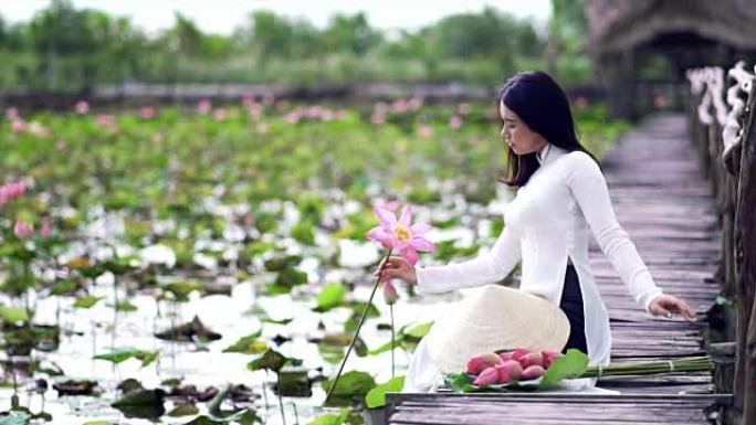 4k慢镜头FHD镜头越南美女手持粉红色莲花在大莲花湖木桥上微笑的越南美女肖像，越南，亚洲或东南亚旅行
