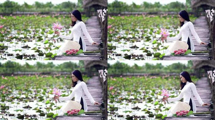 4k慢镜头FHD镜头越南美女手持粉红色莲花在大莲花湖木桥上微笑的越南美女肖像，越南，亚洲或东南亚旅行