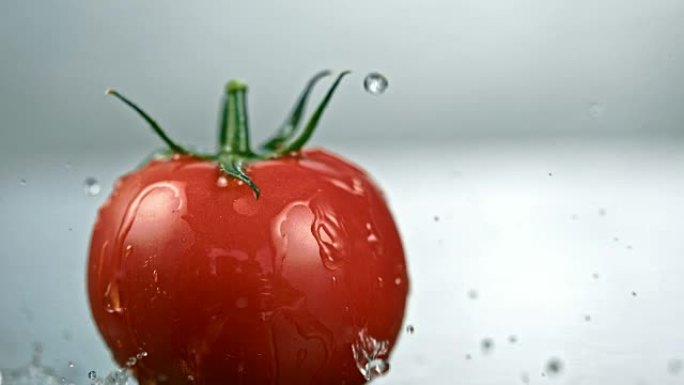 SLO MO水滴溅到新鲜的番茄上