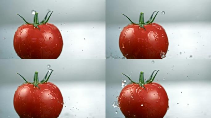 SLO MO水滴溅到新鲜的番茄上