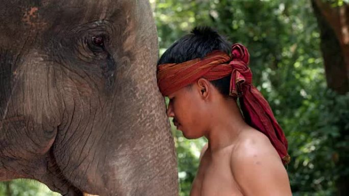 大象可爱的年轻人。
