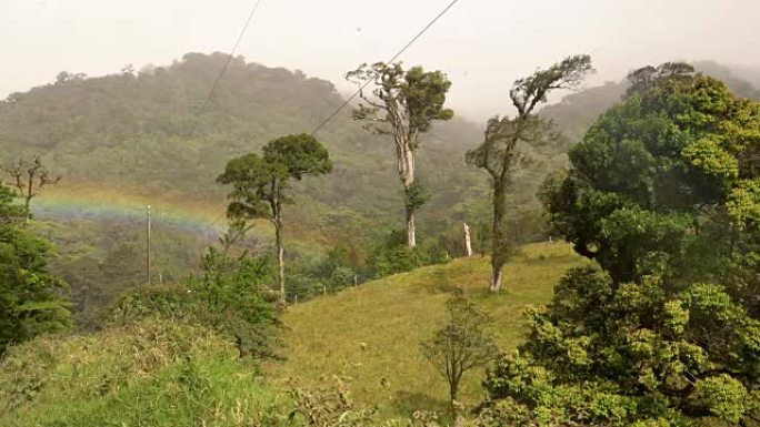 热带雨林上的DS彩虹