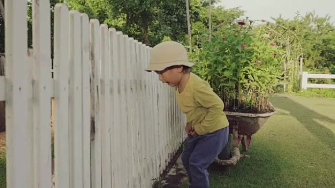 孩子男孩和年轻的母亲在农场喂小兔子。