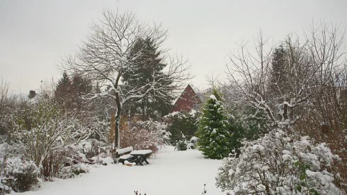 融雪瑞雪纷飞雪景冬天小雪大雪下雪花