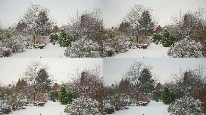 融雪瑞雪纷飞雪景冬天小雪大雪下雪花