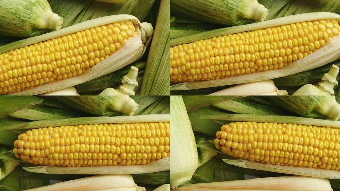 高清：Cob上收获的玉米