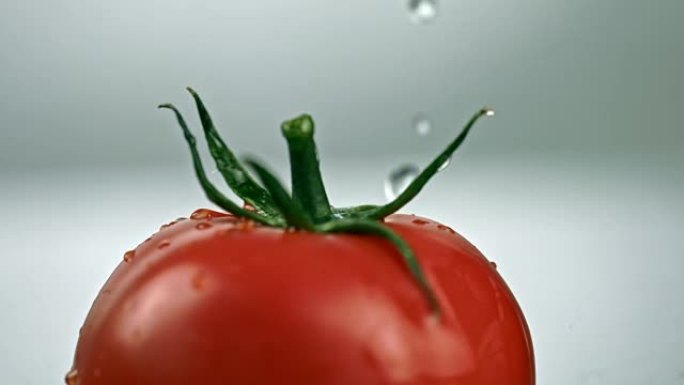 SLO MO滴落在旋转的新鲜番茄上