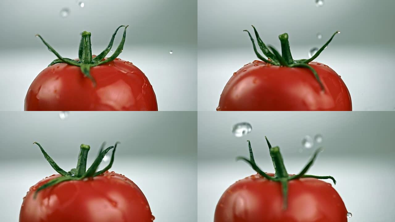 SLO MO滴落在旋转的新鲜番茄上