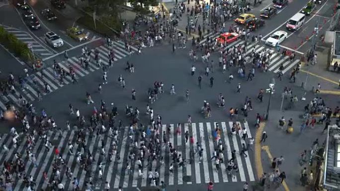 著名的涩谷人行横道的高角度拍摄，人群交叉，汽车行驶。晚上在大城市。