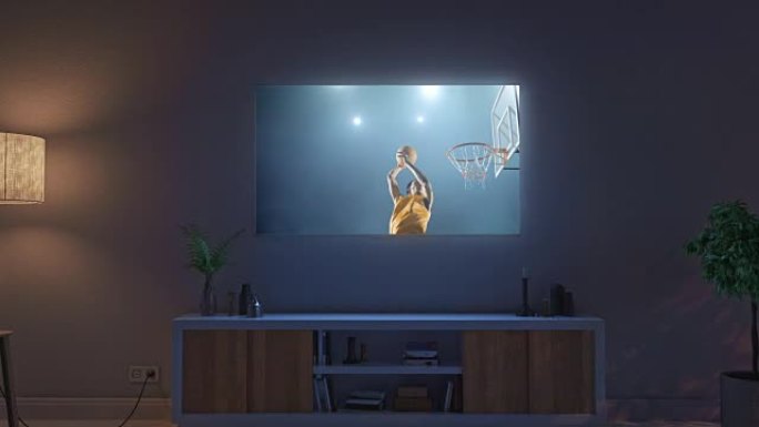 客厅电视机上的篮球比赛