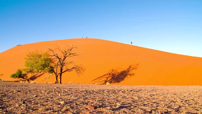 纳米比亚沙丘上的DS WS游客