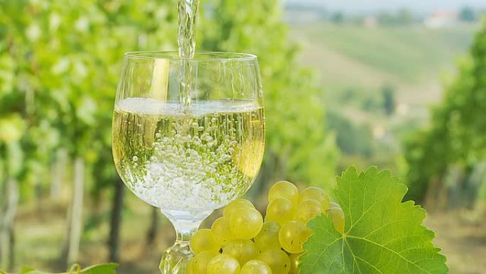 高清慢动作：在葡萄园将葡萄酒倒入玻璃杯