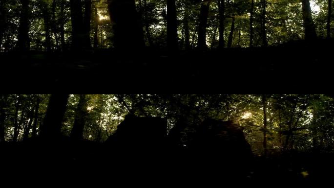 WS黑暗森林中的阳光