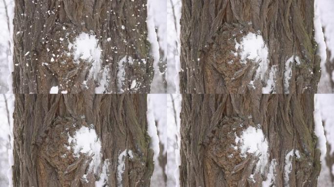 高清超级慢镜头：雪球击中树干