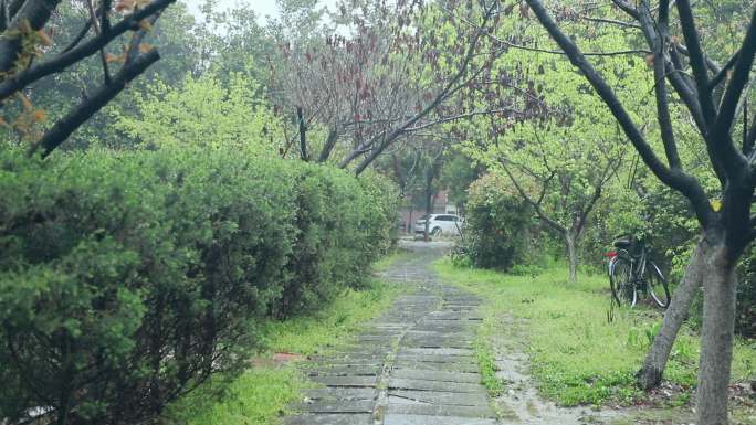 4K实拍春天城市小区池塘林间小路清明雨景